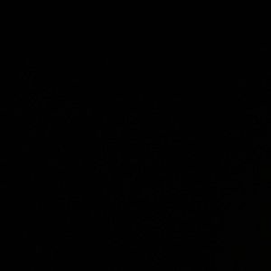 Meet your Posher, Shamiracle